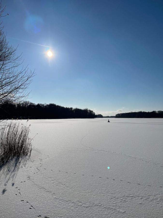 Basalt Lodge Am Lehnitzsee Oranienburg Bagian luar foto